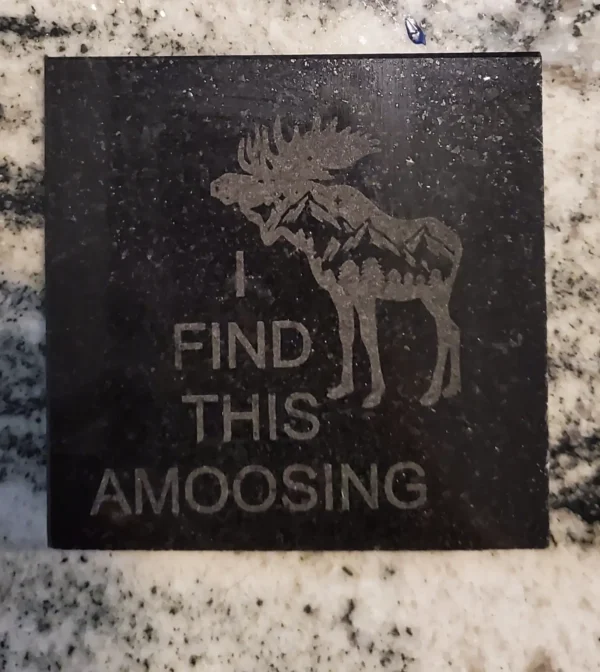 i Find this amoosing coaster